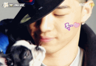 Big Bang Taeyang’s Dog